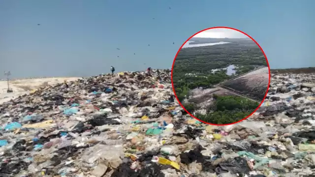 Denuncian mal manejo de residuos sólidos en Ciudad del Carmen