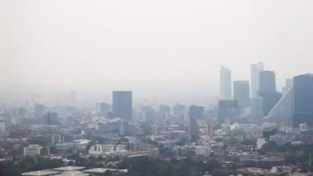 Las concentraciones horarias de ozono acabaron siendo menores de las previstas en el Valle de México.