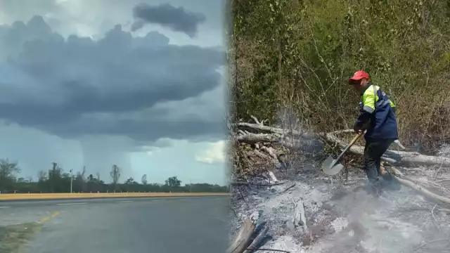 Disminuyen incendios forestales en Petenes por inicio de lluvias: CONANP