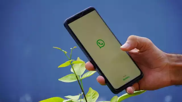 ¿Se cayó Whatsapp este 13 de agosto? Usuarios reportan fallas y esto es lo que se sabe