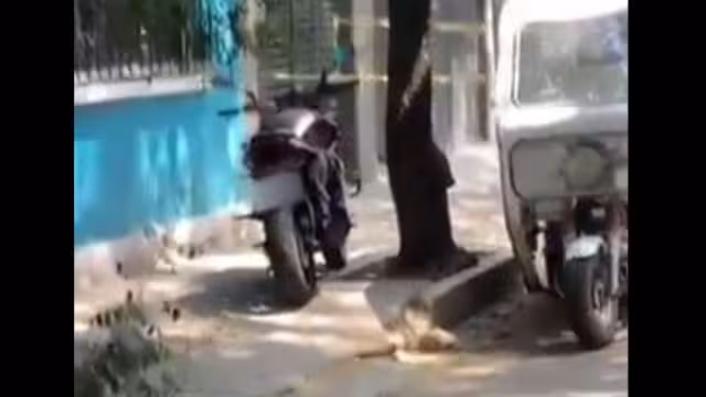 El crimen se perpetró la mañana de este martes 20 de mayo sobre Calzada de Tlalpan