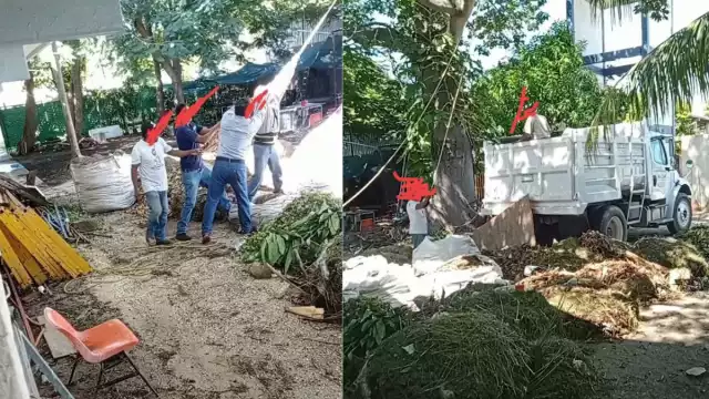Trabajadores de jardinería de la UNACAR denunciaron abusos laborales al ser obligados a realizar labores pesadas sin equipo ni herramientas adecuadas