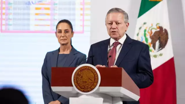 Arturo Zaldívar Lelo de la Rea, Coordinador General de Política y Gobierno de la Presidencia de México