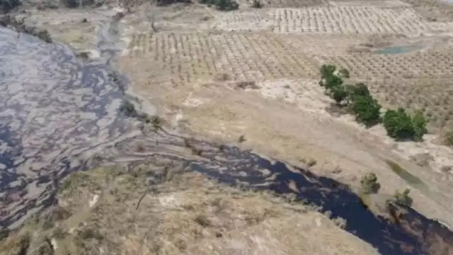 Se han instalado 22 barreras marinas y 230 cordones oleofílicos para evitar la dispersión del crudo en cuerpos de agua y manglares cercanos
