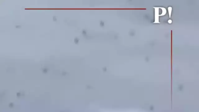 Captan a miles de zopilotes volando sobre las zonas afectadas de Poza Rica