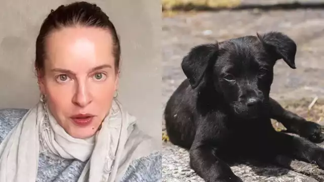 Platas aseguró que la clínica intentó cobrar una cifra exorbitante por practicarle dos cirugías a la perrita