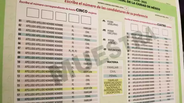 Participar en la elección judicial es un derecho constitucional y una nueva forma de intervención ciudadana