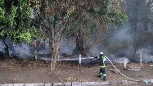 La acción coordinada permitió detener la expansión del fuego que afectó un estimado de mil 760 hectáreas