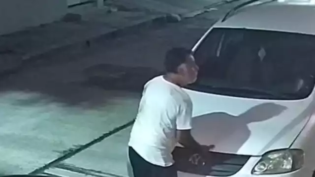 Autoridades investigan a célula delictiva que roba autopartes en Chetumal