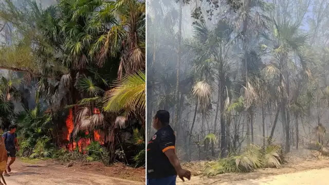 Un incendio forestal afectó cerca de media hectárea en la Reserva de la Biósfera de Sian Ka’an, Tulum.