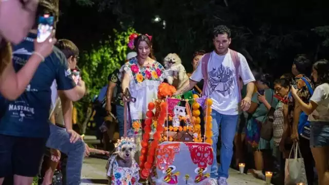 Pixán Peek Mérida 2025: “Lomitos” se apoderan del Parque La Plancha