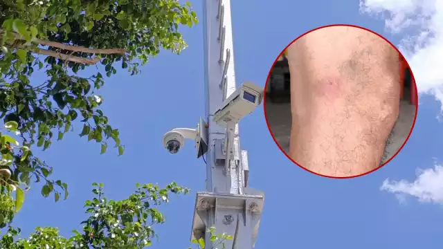 Enjambre en poste de vigilancia ataca a vecinos del Holoch: dos hospitalizados