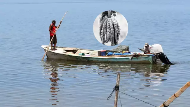Pescadores de Lerma no salieron a pescar este 2024 debido a las bajas capturas