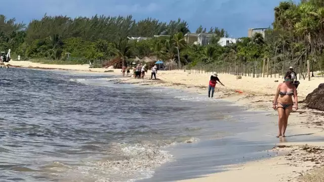 Se desplomó drásticamente la ocupación hotelera en el Caribe mexicano