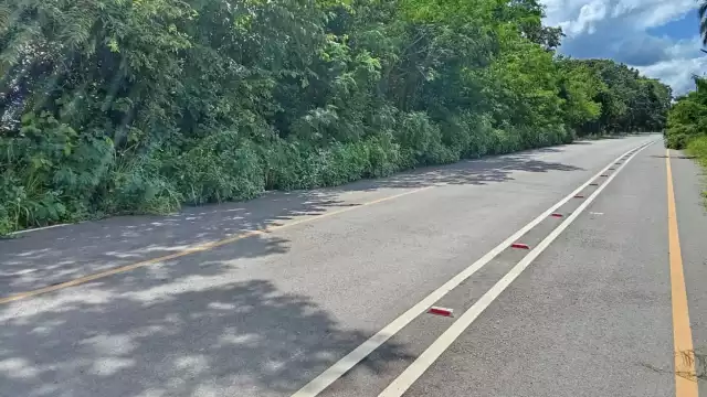 El Ayuntamiento de Othón P. Blanco abandona la limpieza de las carreteras que interconectan Raudales con Laguna Guerrero