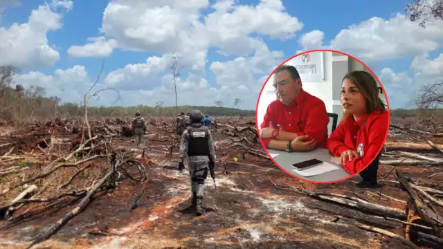 Diana Mena Lezama, secretaria general del PRI, exigió sanciones para funcionarios que encubran la deforestación en Campeche.
