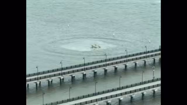 Equipos de rescate del FDNY y unidades marinas acudieron rápidamente al lugar para llevar a cabo las operaciones de salvamento.