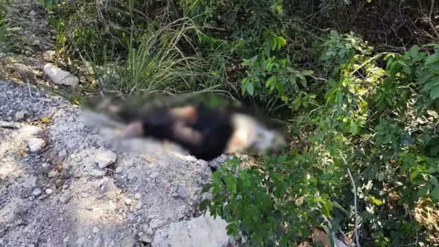 Presuntamente el conductor de la “unidad de dos ruedas” abusó de la velocidad