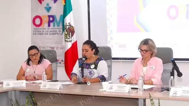 Consulta Infantil y agenda electoral destacan en informe del Observatorio