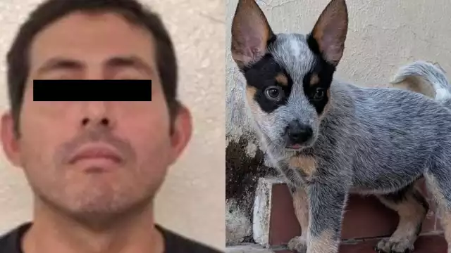 Ferdinando “N” fue detenido en Ciudad del Carmen; un amparo le permitió seguir su proceso en libertad.