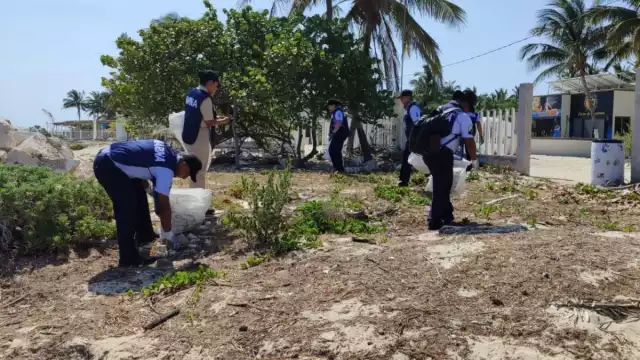 Así se desenvolvió la campaña de descontaminación en Progreso