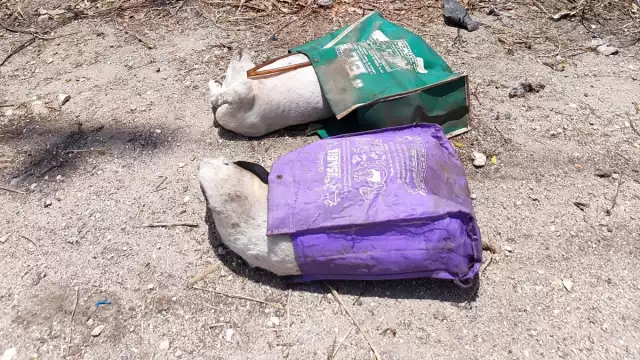 Cuerpos de perros han sido arrojados dentro de bolsas a un terreno baldío