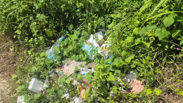 Piden a las autoridades enviar una brigada de limpieza.