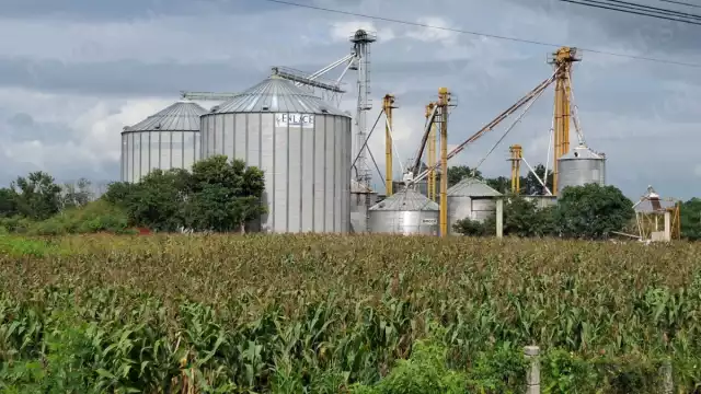 Campesinos de Hecelchakán exigen precio justo por el maíz ante abandono oficial
