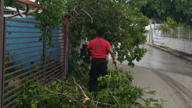 Se contabilizaron 29 reportes de emergencia