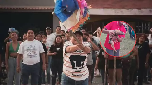 La denuncia se originó por una ‘tradición’ en la que se golpearon hasta matar animales silvestres como iguanas y serpientes.

