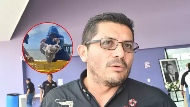 El director del Inpesca Campeche pidió a los pescadores denunciar robos de herramientas y captura ilegal de pulpo maya.
