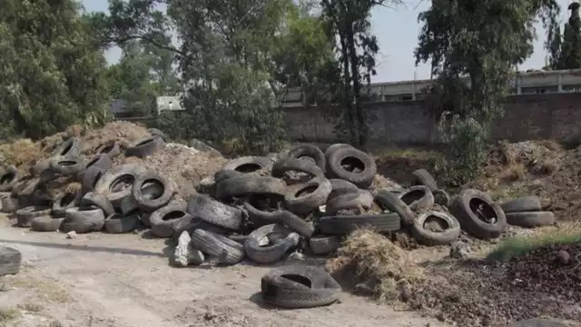 Ciudadanos denuncian el aumento de tiraderos de neumáticos viejos en Chetumal, ya que representan riesgos sanitarios