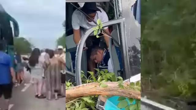 El accidente se registró a la altura del Tintal, comunidad de Quintana Roo