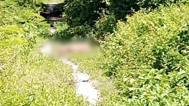 Isla Aguada conmocionada por hallazgo de mujer asesinada