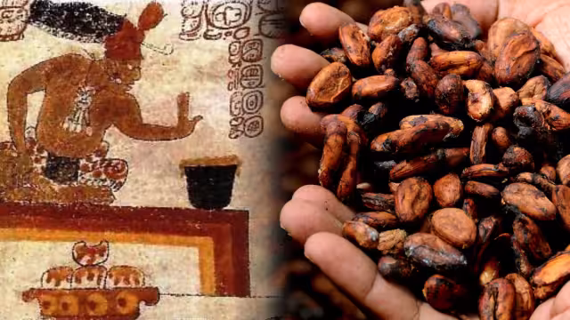 Cacao maya: Moneda, ritual y herencia viva en Campeche
