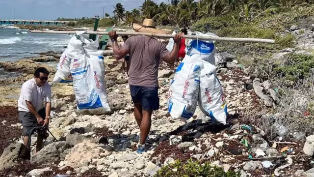 Playas abandonadas de Mahahual registran gran presencia de basura
