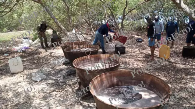 Autoridades descubrieron todo un campamento en que recolectaban el pepino de mar