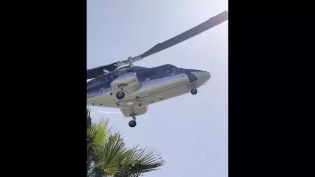 De acuerdo con testigos presenciales, el accidente pudo haber ocurrido debido al impacto de un ave en el rotor de cola del helicóptero