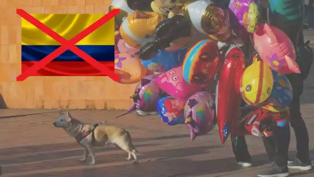 Atentados en Colombia dejan al menos 14 muertos y más de 40 heridos: ¿qué fue lo que pasó?