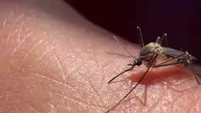 El presidente de Colombia, Gustavo Petro, anunció su intención de decretar una emergencia económica adicional si la situación se agrava