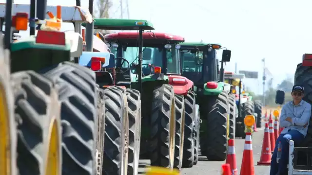 Los agriculto buscarán establecer una mesa de negociación con industriales del maíz, con el objetivo de conseguir un excedente adicionalres