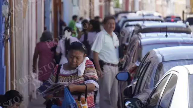 Campeche bajo el Frente Frío 12: lluvias y temperaturas de hasta 16 °C, informa Seproci