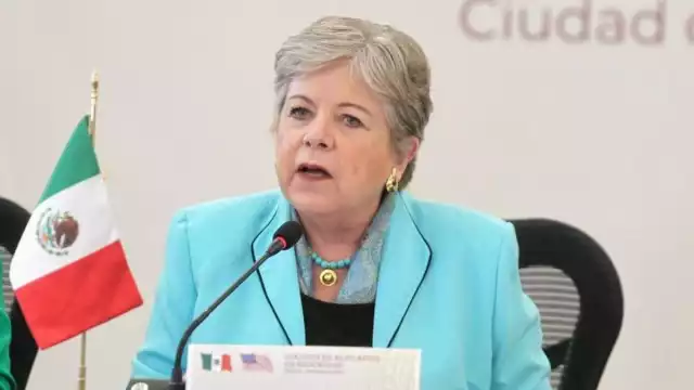 Alicia Bárcena Ibarra, secretaria de Medio Ambiente