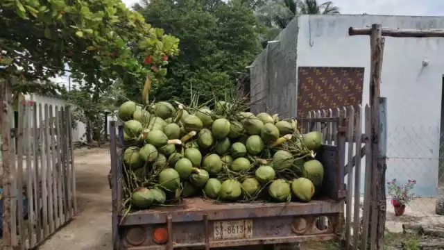 Indiferencia de CFE afecta la actividad comercial de negocios en Luis Echeverría Álvarez