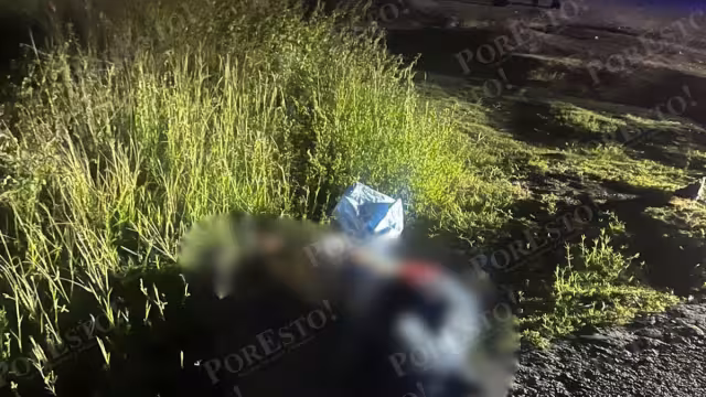 Tragedia en la carretera Carmen–Puerto Real: muere vigilante atropellado y el conductor huye
