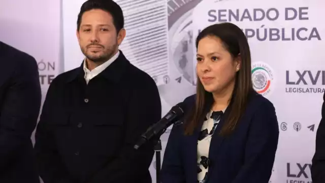 Karen Castrejón, presidenta nacional del Partido Verde Ecologista de México (PVEM)