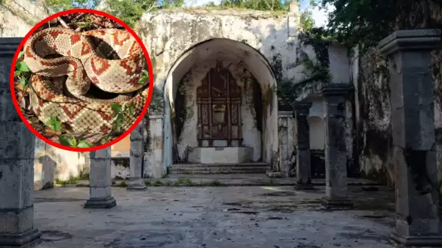 Se dice que el sitio concentra amplia presencia de serpientes de cascabel