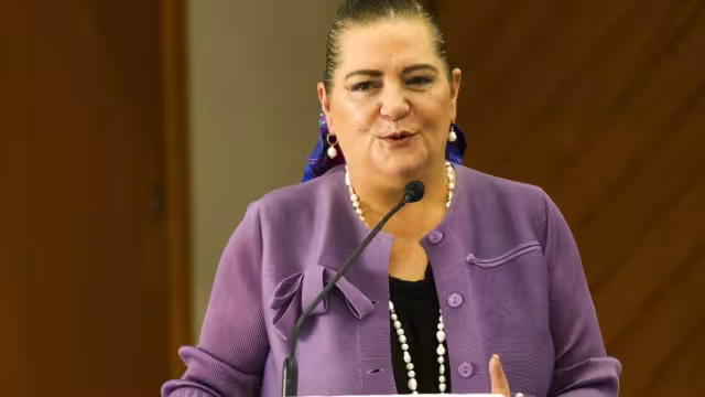 Guadalupe Taddei Zavala, consejera presidenta del Instituto Nacional Electoral (INE)