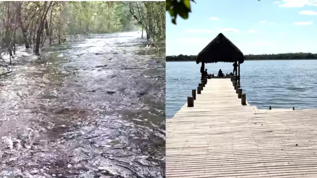 Escurrimientos de agua desde Bacalar inundan caminos en la selva de Noh-Bec, Q. Roo.