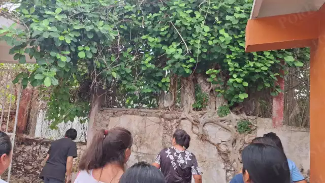 Padres de familia denunciaron el abandono y descuido del traspatio de la escuela primaria Mercedes Vasto Lara en Tinún, Tenabo.